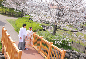 お店の近くの公園でも撮影可能！春は桜が咲きますよ！！